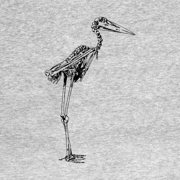 Stork Skeleton by Little Birds